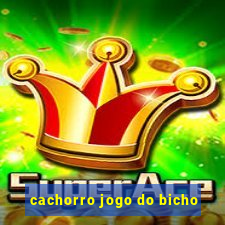 cachorro jogo do bicho